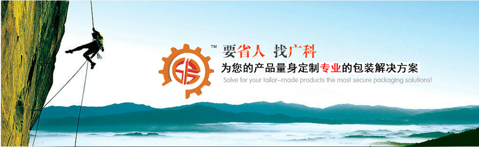 立式自動包裝機(jī)