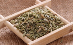 如何選擇茶葉包裝機(jī)廠家？選擇標(biāo)準(zhǔn)解析茶葉包裝機(jī)廠家。